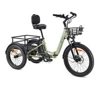 YOUIN Dover Tricycle Cargo Electrique
