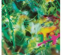 Young Gods, the - Second Nature [Import]