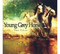 Young Grey Horse : Tha Vibez