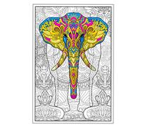 Young N Refined Poster géant à colorier motif éléphant avec collages de fleurs et mandalas | Version pliée (42 x 60 cm)