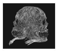 Young, Nate - Regression [Import]