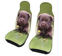 Young Puppy Brown Labrador 2 pièces Housses de siège de Voiture sièges Avant, Protection Automobile Tapis de Voiture Housse de Coussin de véhicule Universelle pour la Plupart des Voitures SUV camions