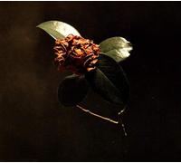 Young Sick Camellia [CD] NEUF