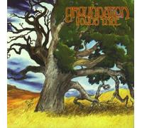 Young Tree by Groundation (2012-05-04)