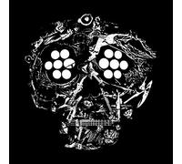 Young Widows - Decayed: Ten Years of Cites, Wounds, Lightness, and Pain [VINYL]