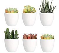 Youngever Lot de 10 Mini Pots de Fleurs d'intérieur en Plastique Blanc de 8 cm avec Drainage pour Toutes Les Plantes d'intérieur, Fleurs, Herbes, Plantes Grasses, Plantes Non incluses (Moderne)