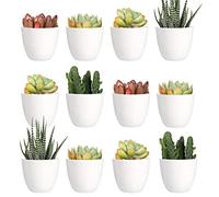 Youngever Lot de 24 Mini Pots de Fleurs en Plastique de 5 cm, Pots de Fleurs d'intérieur avec Drainage, Plantes Non incluses (Moderne)