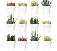 Youngever Lot de 24 Mini Pots de Fleurs en Plastique de 5 cm, Pots de Fleurs d'intérieur avec Drainage, Plantes Non incluses (Classique)