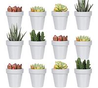 Youngever Lot de 24 Mini Pots de Fleurs en Plastique de 5 cm, Pots de Fleurs d'intérieur Gris avec Drainage, Plante Non Incluse (Classique)