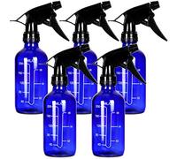 Youngever Lot de 5 Flacons Vaporisateurs Vide en Verre Imprime, 250ML (Bleu)