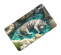 Youngwier Tapis à Illusion d'Optique,Paillasson Décoratif Esthétique Antidérapant à Effet Visuel 3D | Tapis 3D,pour La Cuisine, La Salle De Bain, L'entrée, Le Porche, L'intérieur Ainsi Que pour Les