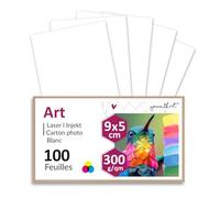 younikat Cartes Bristol Vierges, 100 Cartons, 9 x 5 cm, 300 g/m² - dv412