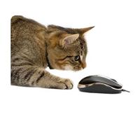 younikat Tapis de Souris avec Motif Chat I 24 x 19 cm I Tapis de Souris Taille Standard, antidérapant I pour Filles Adolescentes Femmes I Chat Souris I dv397