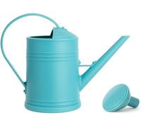 Youning Arrosoir de jardin 2 l - Petit arrosoir pour plantes d'intérieur - Avec douchette amovible - En plastique - Pour l'intérieur et l'extérieur - Bleu
