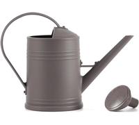 Youning Arrosoir de jardin 2 l - Petit arrosoir pour plantes d'intérieur - Avec douchette amovible - En plastique - Pour l'intérieur et l'extérieur - Gris foncé