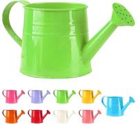 Youning - Arrosoir Petit pour Plantes d'Intérieur 1L - Petite Arrosoir Métallique - Vase pour Fleurs - Gießkanne de Jardin - Canne à Eau - Arrosoir Vintage - Arrosoir pour Plantes - Outil de Jardin