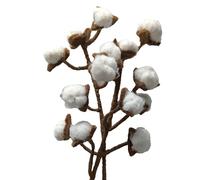 your castle Lot de 2 branches en feutre avec de véritables fleurs de coton, tige flexible, environ 30 cm, fleurs décoratives faites à la main pour vase, commerce équitable, décoration durable en