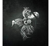 Your Life on Hold - Echoes from The Bardo [Import]