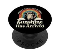 Your Little Ray of Sarcastic Sunshine Has Arrived Drôle PopSockets PopGrip Adhésif