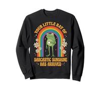 Your Little Ray of Sarcastic Sunshine Has Arrived Drôle Sweatshirt