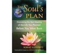 Your Souls Plan by Robert Schwartz Robert Schwartz (Auteur)