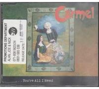 You're All I Need [Import]