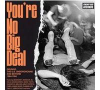 You're No Big Deal : Grunge The U.S. Underground And Beyond 1984 Coffret