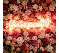 You're So Cool Panneau néon LED pour décoration murale ou fenêtre, alimentation USB 5 V à intensité variable, pour décoration artistique, chambre à coucher, salle de jeux, salle de fête, chambre de