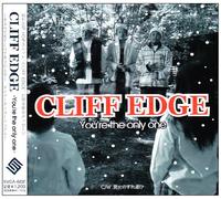 You're the Only One [Import allemand]