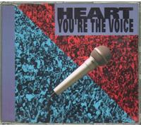 You're The Voice [Import]