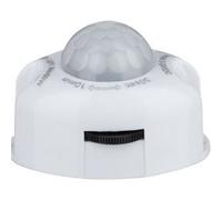 YourLED Capteur Night PIR DC 12V max. 60W Argent Argent G