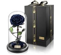 YourRoses® Véritable rose de qualité supérieure dans un verre avec une belle boîte cadeau | Longue durée de vie et cadeau élégant comme preuve d'amour | Un cadeau du cœur (noir)