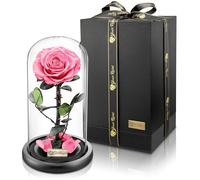 YourRoses® Véritable rose de qualité supérieure dans un verre avec une belle boîte cadeau | Longue durée de vie et cadeau élégant comme preuve d'amour | Un cadeau du cœur (rose)
