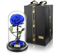 YourRoses® Véritable Rose de qualité supérieure dans Un Verre avec Une Belle boîte Cadeau | Longue durée de Vie et Cadeau élégant comme Preuve d'amour | Un Cadeau du cœur