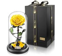 YourRoses Véritable rose de qualité supérieure dans un verre avec une belle boîte cadeau, longue durée de vie et cadeau élégant comme preuve d'amour