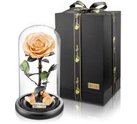 YourRoses Véritable rose de qualité supérieure dans un verre avec une magnifique boîte cadeau | Longue durée de vie & cadeau élégant comme preuve d'amour | Un cadeau du cœur