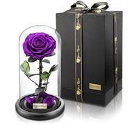 YourRoses® Véritable rose haut de gamme dans un verre avec une belle boîte cadeau | Longue durée de vie & cadeau élégant comme preuve d'amour | Un cadeau du cœur