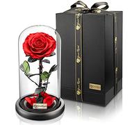 YourRoses® véritable Rose Premium dans Une boîte Cadeau en Verre | Longue durée de Conservation et Cadeau Noble en gage d'amour