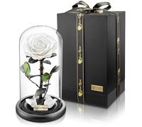 YourRoses® véritable rose premium en verre avec une magnifique boîte cadeau | Longue durée de vie et cadeau élégant comme preuve d'amour | Un cadeau du cœur