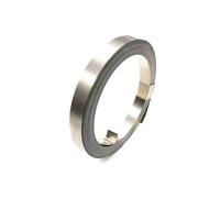 YOURRYONG Bande en acier plaqué nickel 18650/21700 - 10 m - 0,3 x 10 mm