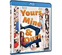 Yours, Mine And Ours - Une Famille 2 En 1