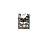 Youth Gangs In American Society