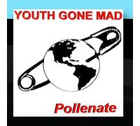 Youth Gone Mad - Pollenate