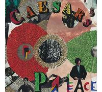 Youth Is Wasted on the Young