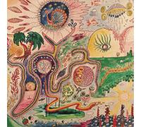 Youth Lagoon – Wondrous Bughouse – Vinyle 12" – Sony Music