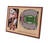 YouthEfan NCAA Mississippi State Bulldogs 3D Stadiumview Picture Frame - Davis Wade Stadium at Scott Field