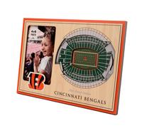 YouthEfan NFL Cincinnati Bengals 3D StadiumViews Picture Frame