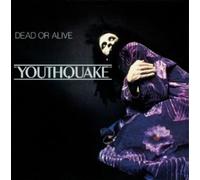 Youthquake Vinyle