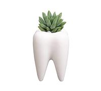 YOUYA DENTAL Pot de fleurs en céramique blanche en forme de dent mignonne pour plantes grasses, pot de fleurs, pot à crayons créatif pour bureau, maison, bureau (plantes non incluses)
