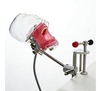 Youya Tête de mannequin pour dentition dentaire Typodont Modèle de dents Phantom Dexter Support de formation fixe sur le bureau pour écoles dentaires éducatives démonstration pratique